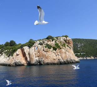 Richtung Cap de Formentor - Möven begleiteten uns