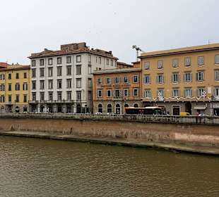 Brzegi arno