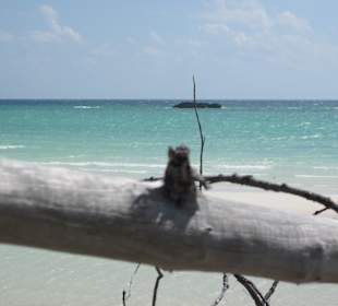Gold Rock Beach (Gold Coast)