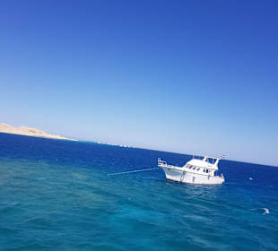 Schnorchelausflug Giftun Inseln