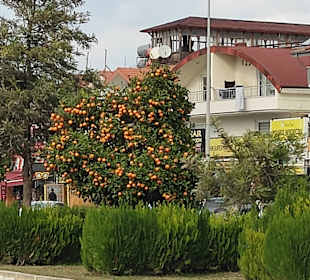 Stadtrundgang Evrenseki