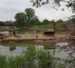 Auf gehtes zur Bootsfahrt 