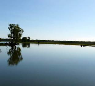 Yellow Waters / Kakadoo