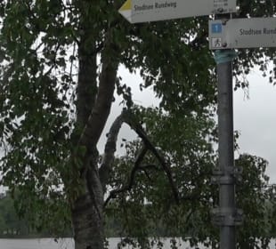 Wandern rund um den Stadtsee