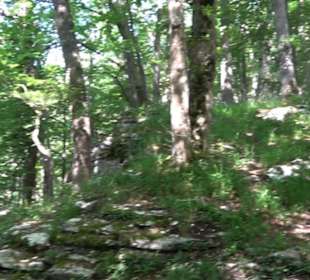 Premiumwanderweg "hochgelegen"