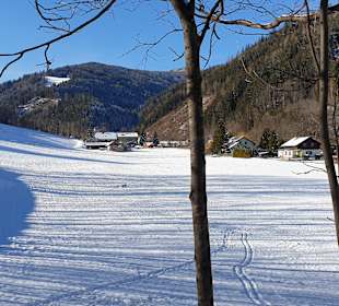 Wandern Trattenbach
