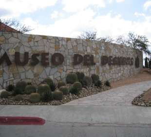 Museo del Desierto
