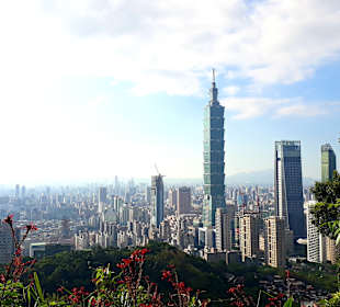 Ausblick Elephant Mountain 