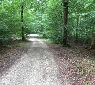 Hochgeträumt Premiumwanderung