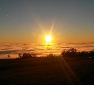 Blick auf den Bodensee vom Gehrenberg