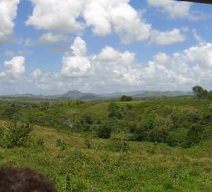 Monster Truck Safari