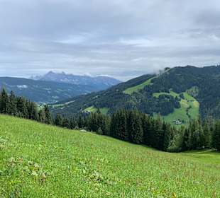 Wandern Flachau