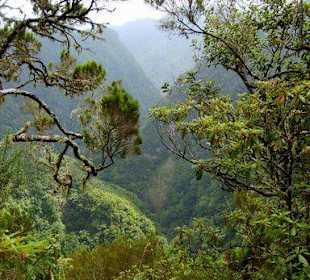 Levada do Furado- Ausblick