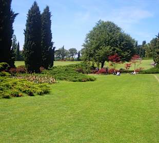 Grünanlagen im Park