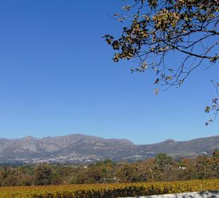 Weingut Groot Constantia