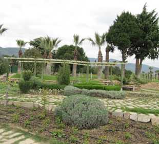 Garten ober den Terrassen