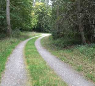 Altwege Rundwanderung Bebenhausen