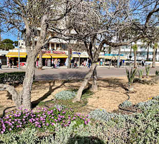 Strandpromenade Playa/Platja de Palma