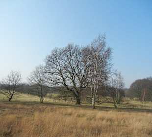 Wunderschöne Boberger Niederung
