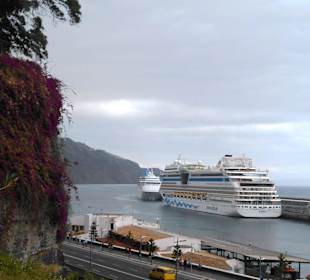 Parque de Santa Catarina