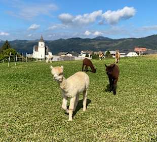 Wandern St. Kathrein am Offenegg