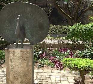 Rosengarten Nördlingen