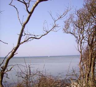 Naturschutzgebiet Geltinger Birk