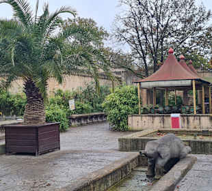 Zoo Hannover 