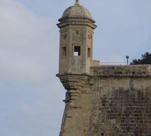 Der Wachturm mit Augen und Ohren