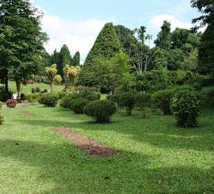 Botanischer Garten Kandy