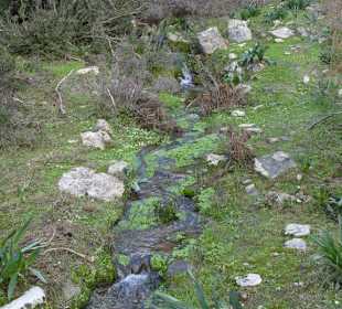 Seleukia, die antike Ruinenstadt bei Side