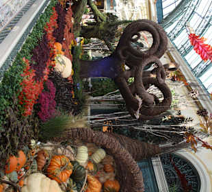 Botanischer Garten Bellagio