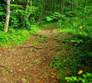 Auf-Abstieg Adlerstein Panorama