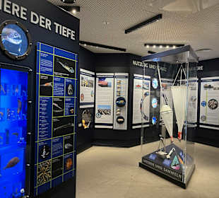 Aquazoo Löbbecke Museum Düsseldorf