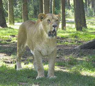 Serengeti Park Hodenhagen