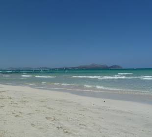  Hotel Can Picafort Palace