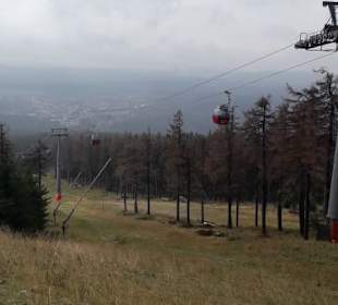 Oben auf dem Wurmberg