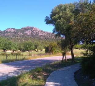 Wanderweg Paguera-Capdella