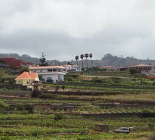 Blick zurück zur Bodega