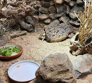 Tiergarten Straubing