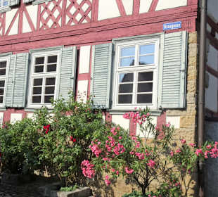 Eindrücke vom Rundgang durch Königsberg