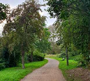 Stadtrundgang Wismar