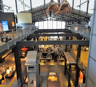 Rundgang durch die Haupthalle des Museums