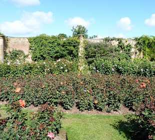 Der Rosengarten