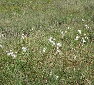 Glenveagh National Park