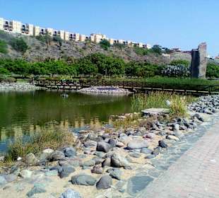 Parque del Sur in Maspalomas