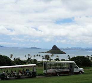Hut-ähnliche Felseninsel