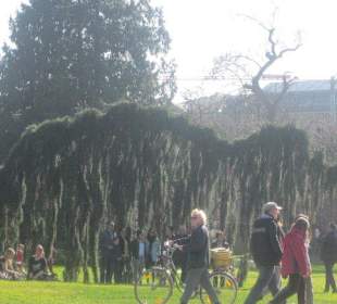 Der Botanische Garten im März 14
