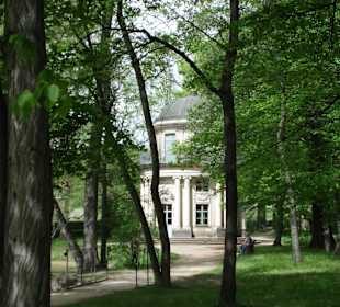 Schöne Wege durch den Park