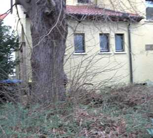 Evangelisch-methodistische Kirche